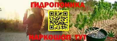 сатива Коммунар