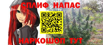 сатива Коммунар