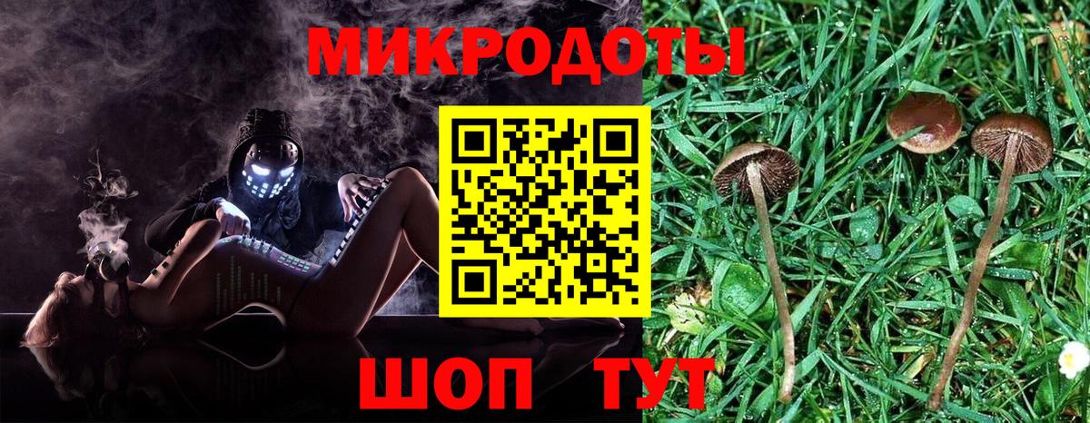 Псилоцибиновые грибы Psilocybe  Вход с VPN  Тимашёвск 