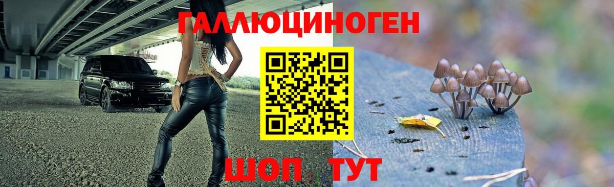 Псилоцибиновые грибы Magic Shrooms Тимашёвск
